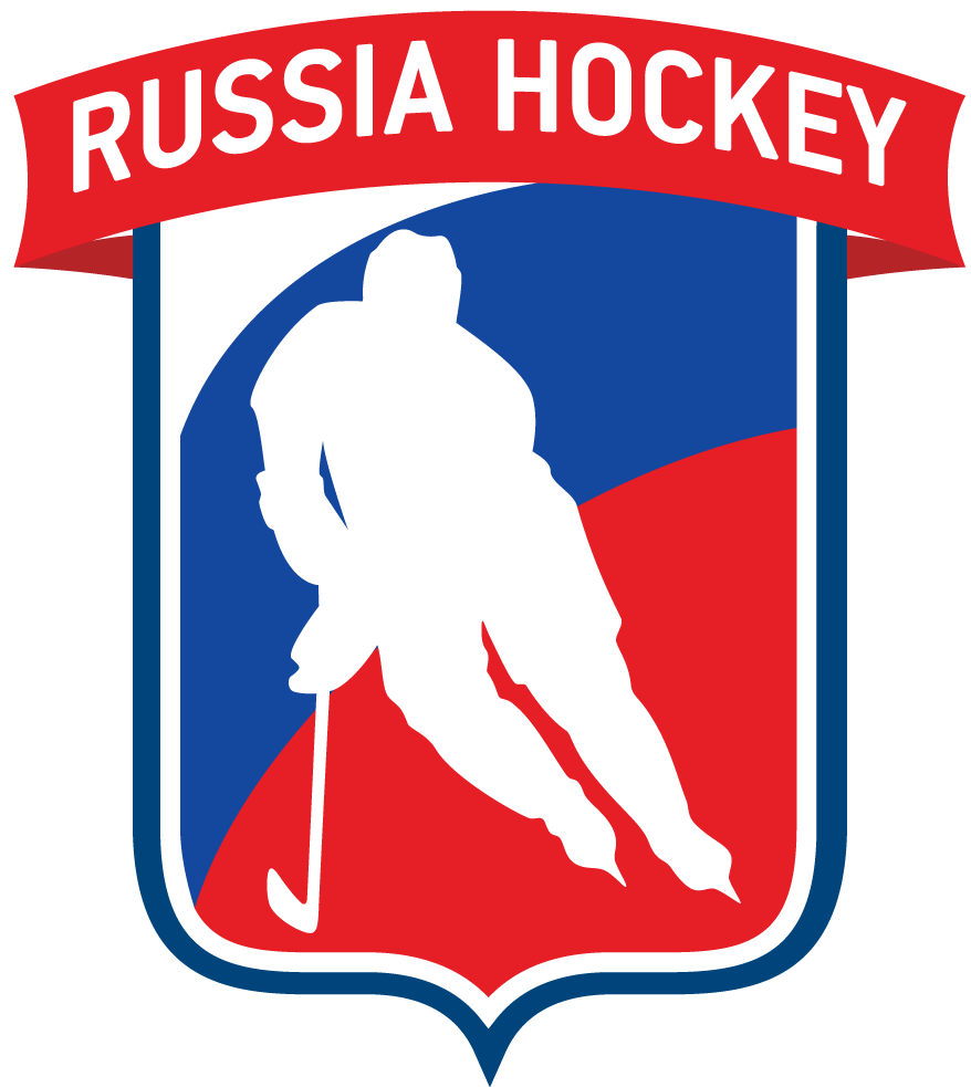Russia 2016-Pres Partial Logo v3 iron on heat transfer